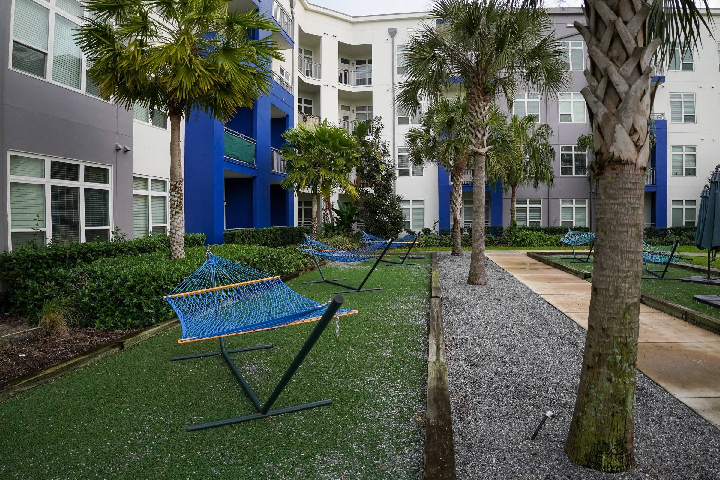 Hammock Garden at Solstice apartments over a green lawn with fan palm trees