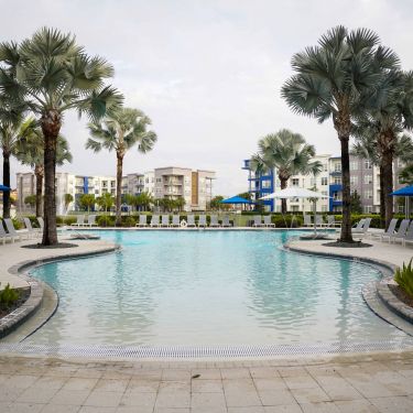 Inviting resort-style swimming pool at Solstice Apartments surrounded by palm trees and equipped with sun loungers and shaded areas for relaxation.